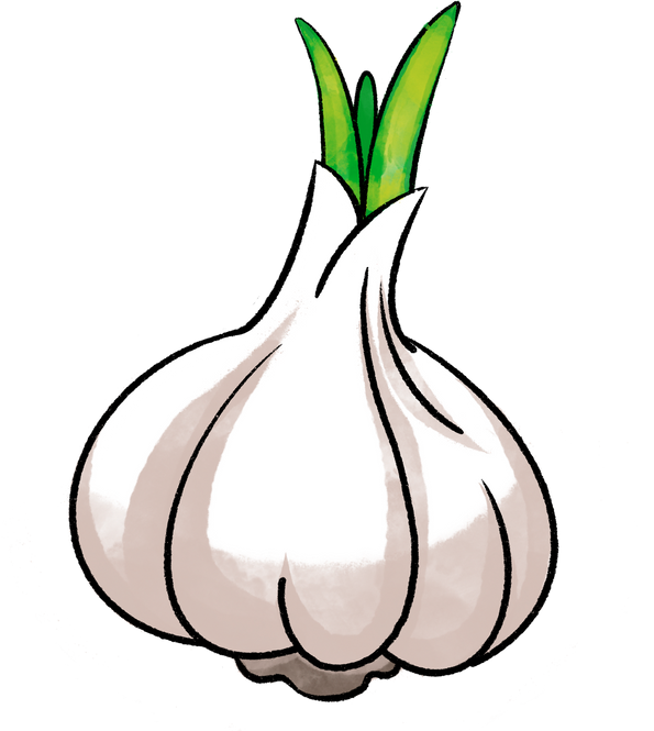 Garlic Line Filled Icon