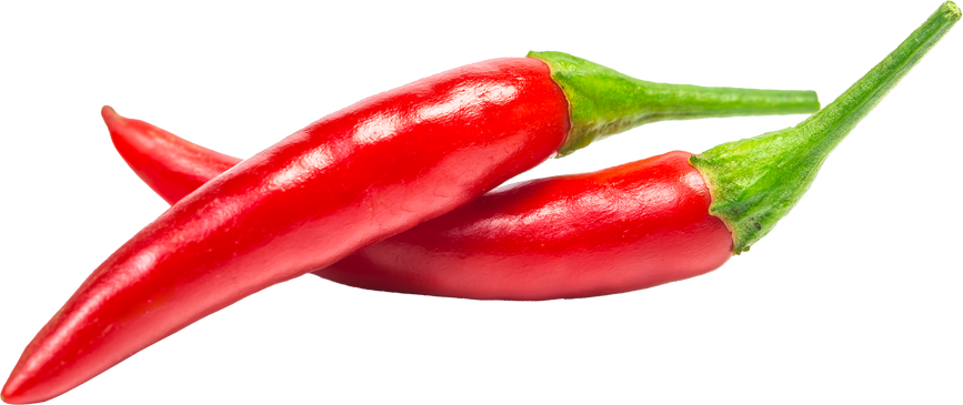chili pepper isolated